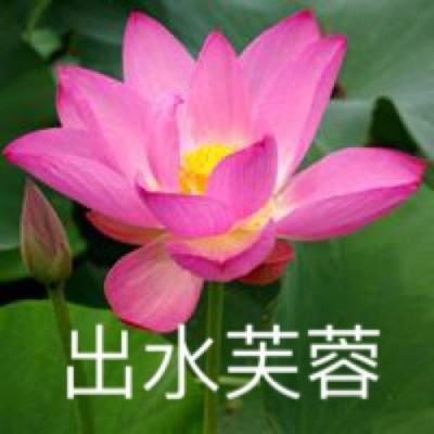 玄仙九重天游戏下载